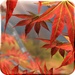 ロゴ Autumn Tree Free 記号アイコン。