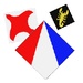 Logotipo Battle Of Kites Icono de signo