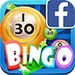 Logo Bingo Fever For Facebook Icon