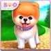 Le logo Boo The World S Cutest Dog Icône de signe.