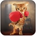 presto Boxing Cat Icona del segno.