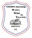 Logo Bst Ícone