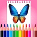 Le logo Butterfly Coloring Book Drawing Book Icône de signe.