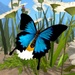 Logotipo Butterfly Simulator Icono de signo