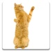 presto Dancing Cat Icona del segno.