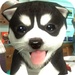 ロゴ Dog Simulator Puppy Craft 記号アイコン。