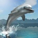 Logotipo Dolphin Survival Simulator Icono de signo