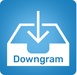 商标 Downgram 签名图标。