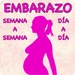ロゴ Embarazo 記号アイコン。