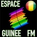 商标 Espace Radio Fm Guinea 签名图标。