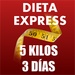 ロゴ Express Diet 記号アイコン。