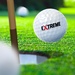 Logo Extreme Golf Icon