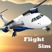 Logo Flight Sim Icon