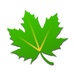 Le logo Greenify Icône de signe.