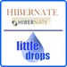 Logo Hibernate Icon