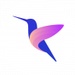 Le logo Hummingbird Icône de signe.