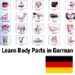 Le logo Learn Body Parts In German Icône de signe.