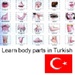 Le logo Learn Body Parts In Turkish Icône de signe.
