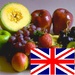 ロゴ Learn Fruits In English 記号アイコン。