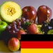 Le logo Learn Fruits In German Icône de signe.