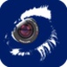 Logotipo N Eye Icono de signo