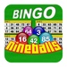 Logo Nineballs Bingo Icon
