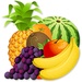 Logotipo Only Fruits Icono de signo