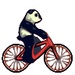 Logotipo Panda Bike Icono de signo