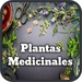 Le logo Plantas Medicinales Y Curativas Icône de signe.