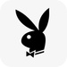 Le logo Playboy Now Icône de signe.