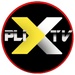 Logo PLIX.3 Icon