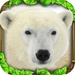 Logo Polar Bear Simulator Icon