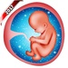 presto Pregnancy Baby Weekly Tracker Icona del segno.