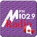 Le logo Radio Canada Online Music News Fm Icône de signe.