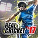 商标 Real Cricket 17 签名图标。