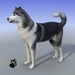 ロゴ Snow Dog Simulator 記号アイコン。