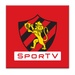 Logo Sport Icon