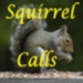 ロゴ Squirrel Calls 記号アイコン。