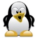 Logo Talking Penguin Icon