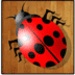 ロゴ The Beetle Game 記号アイコン。