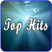 Logotipo The Top Hits Channel Icono de signo