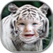 Le logo Tiger Photo Frames Icône de signe.