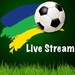 Logo Tv Stream Football Icon