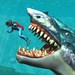 Le logo Whale Shark Attack Simulator Icône de signe.