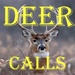 ロゴ White Tailed Deer Calls 記号アイコン。