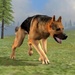商标 Wild Dog Survival Simulator 签名图标。