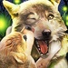 Le logo Wolf Online 2 Icône de signe.