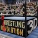 Logo Wrestling Revolution 3d Icon