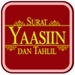 商标 Yaasiin Dan Tahlil 签名图标。