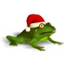 ロゴ Christmas Super Frog 記号アイコン。